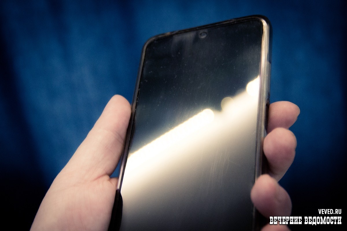     Фото: Андрей Гоголев / Вечерние ведомости