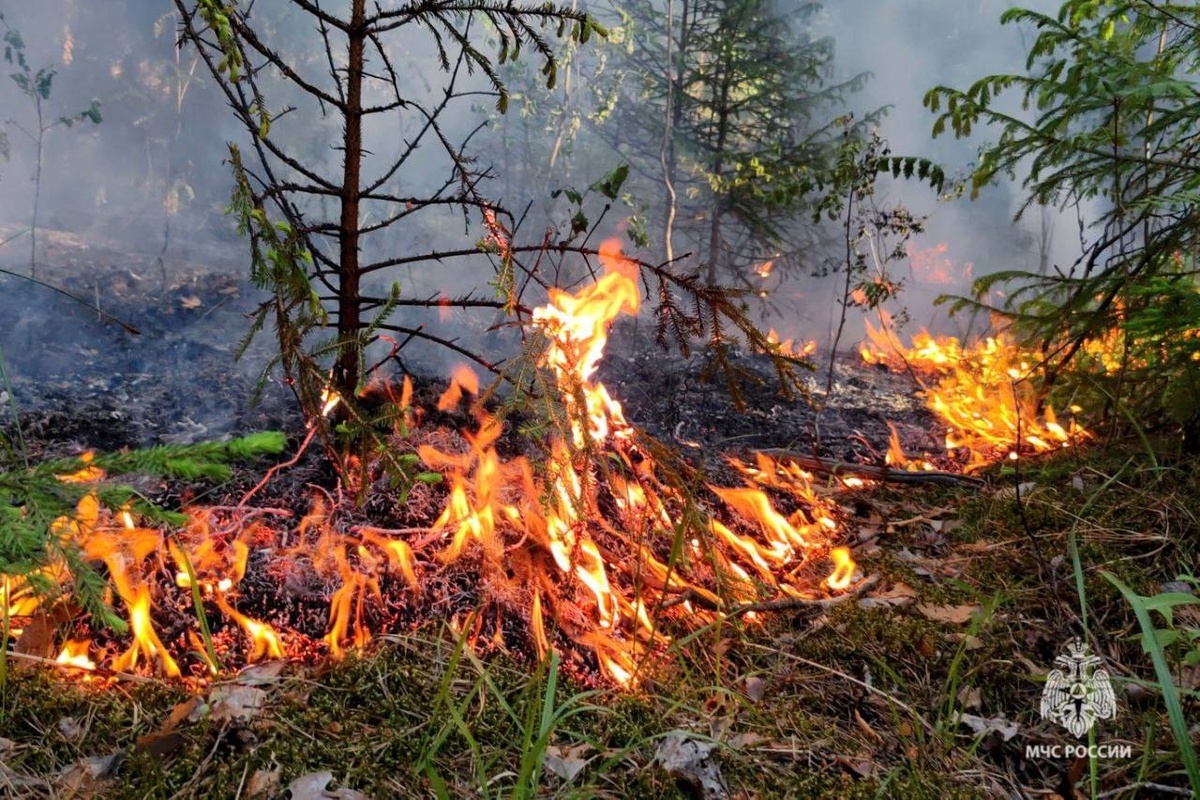    © МЧС России по Пермскому краю