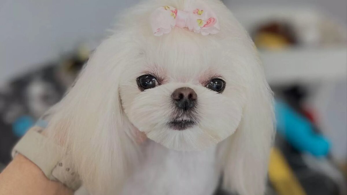 © Photo : Из личного архива Карины Габрусь