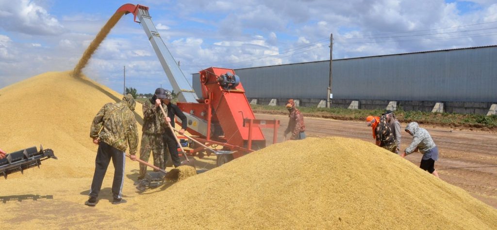    ???????????????????????????????????? redaktor