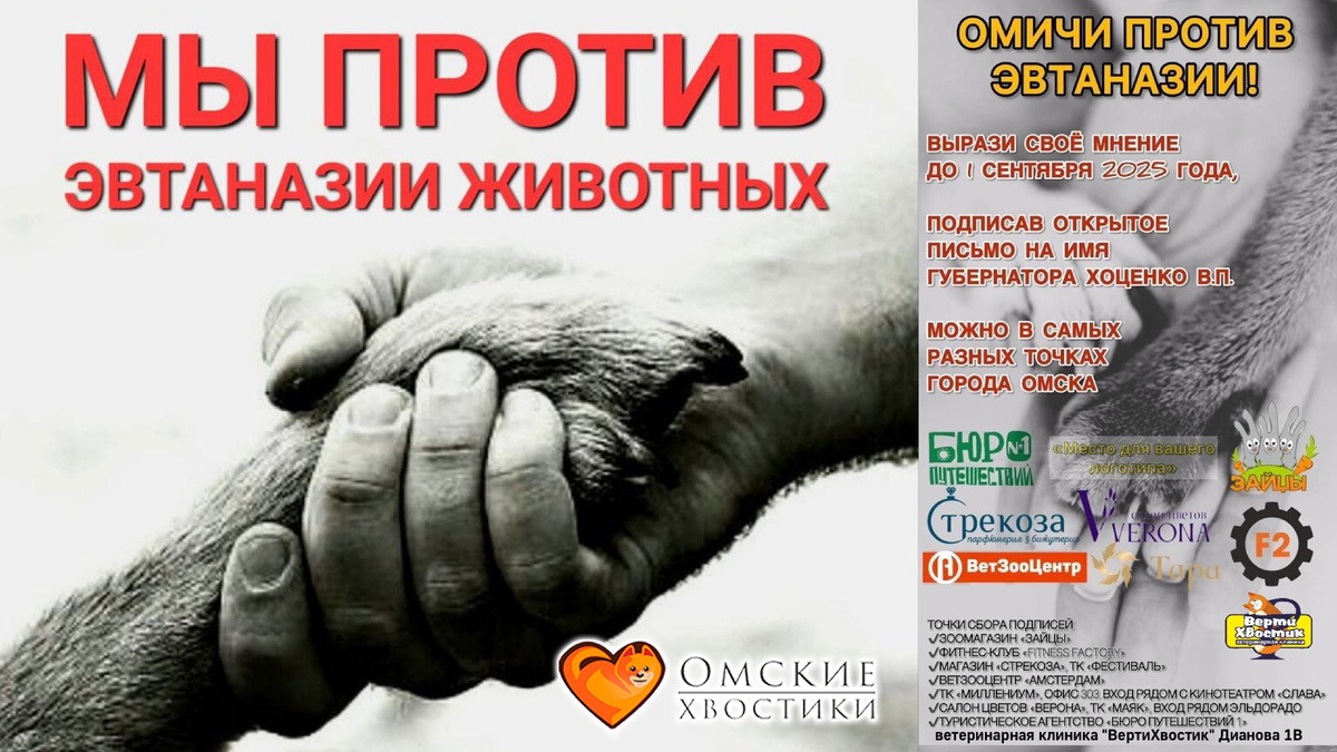 НЕТ ЭВТАНАЗИИ безнадзорных ЖИВОТНЫХ!