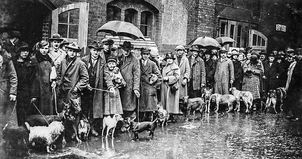 Германия, Берлин, 1926 год. Очередь на усыпление собак... Пожалуйста, давайте так не будем?!