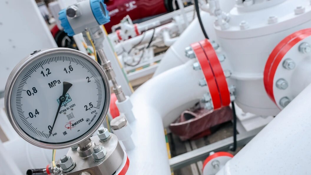    Фото: Roman Naumov/URA.RU/Globallookpress