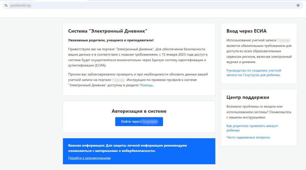 Скриншот одного из фишинговых сайтов