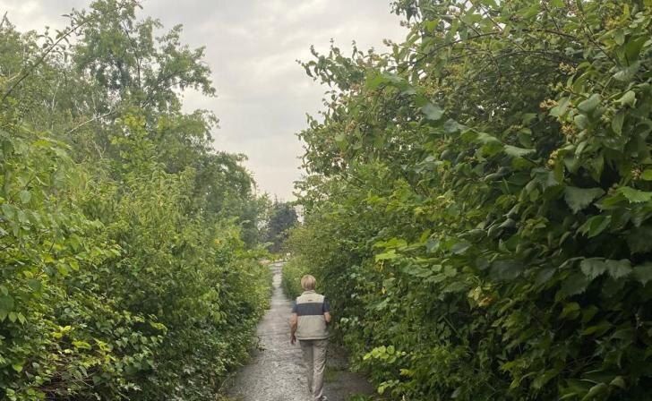    фото Курские известия