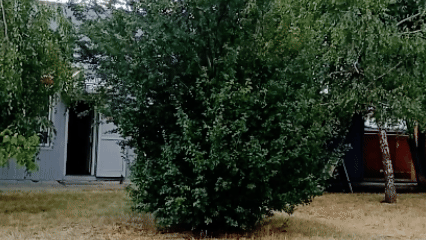 Не могу ходить по городу без съёмки