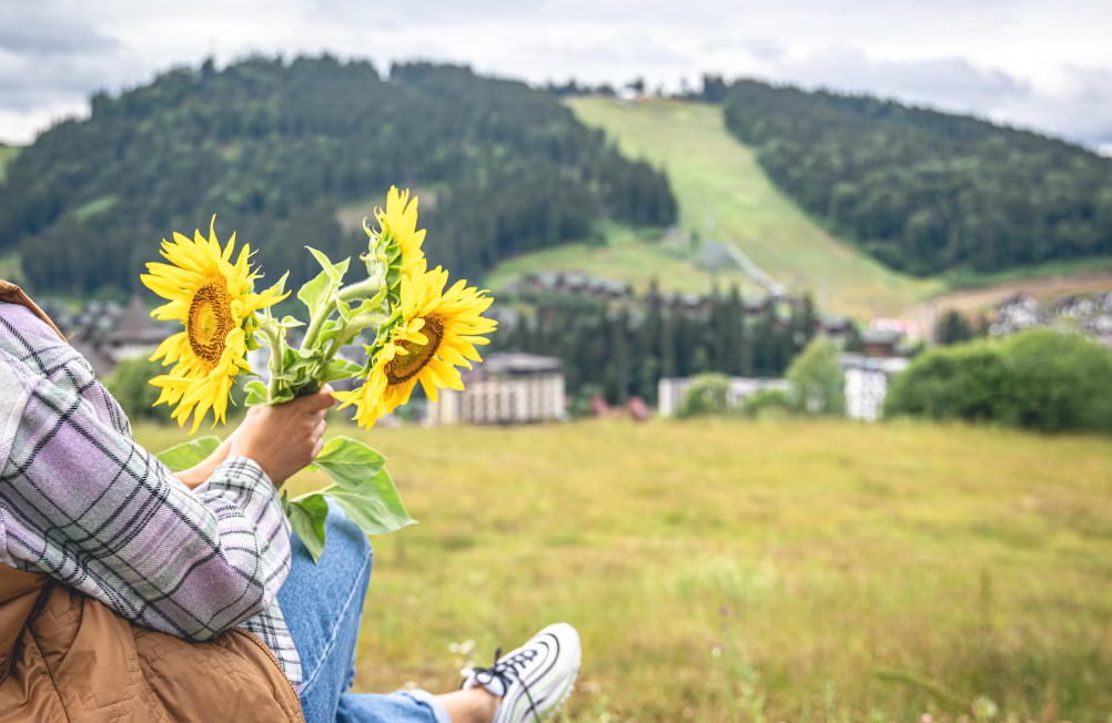 Фото: freepik / pvproductions