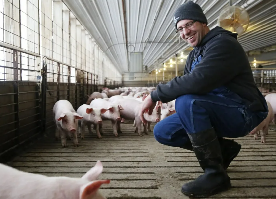 Яндекс картинки