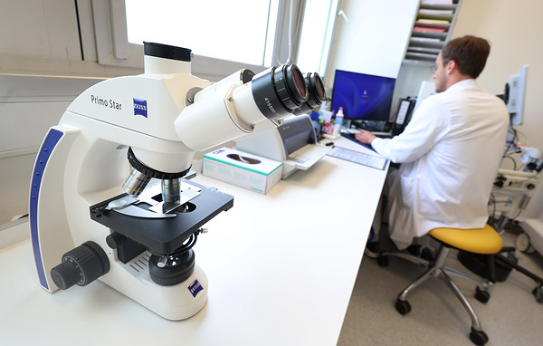 Karl-Josef Hildenbrand/picture alliance via Getty Images