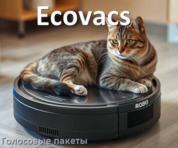 
Языковые голосовые пакеты для робота пылесоса Ecovacs скачать озвучку на русском