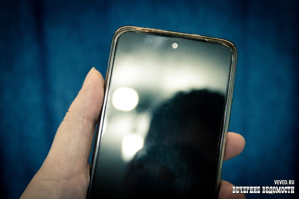     Фото: Андрей Гоголев / Вечерние ведомости