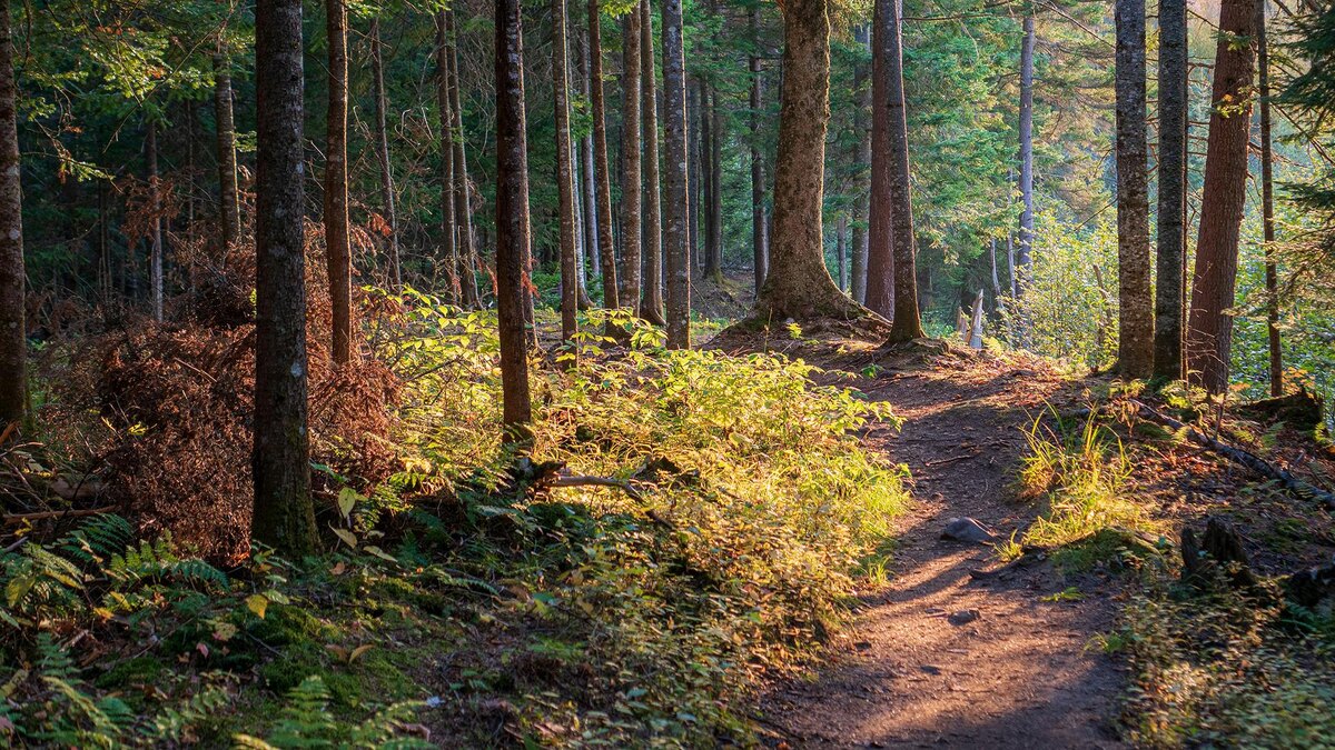    Фото: unsplash.com