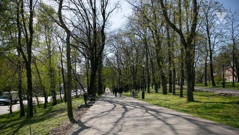      Фото: Валерия Алтухова / / ИА «Победа26»