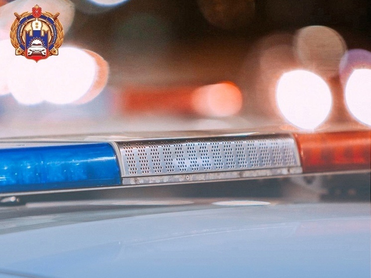     Фото: Госавтоинспекциия по Тульской области