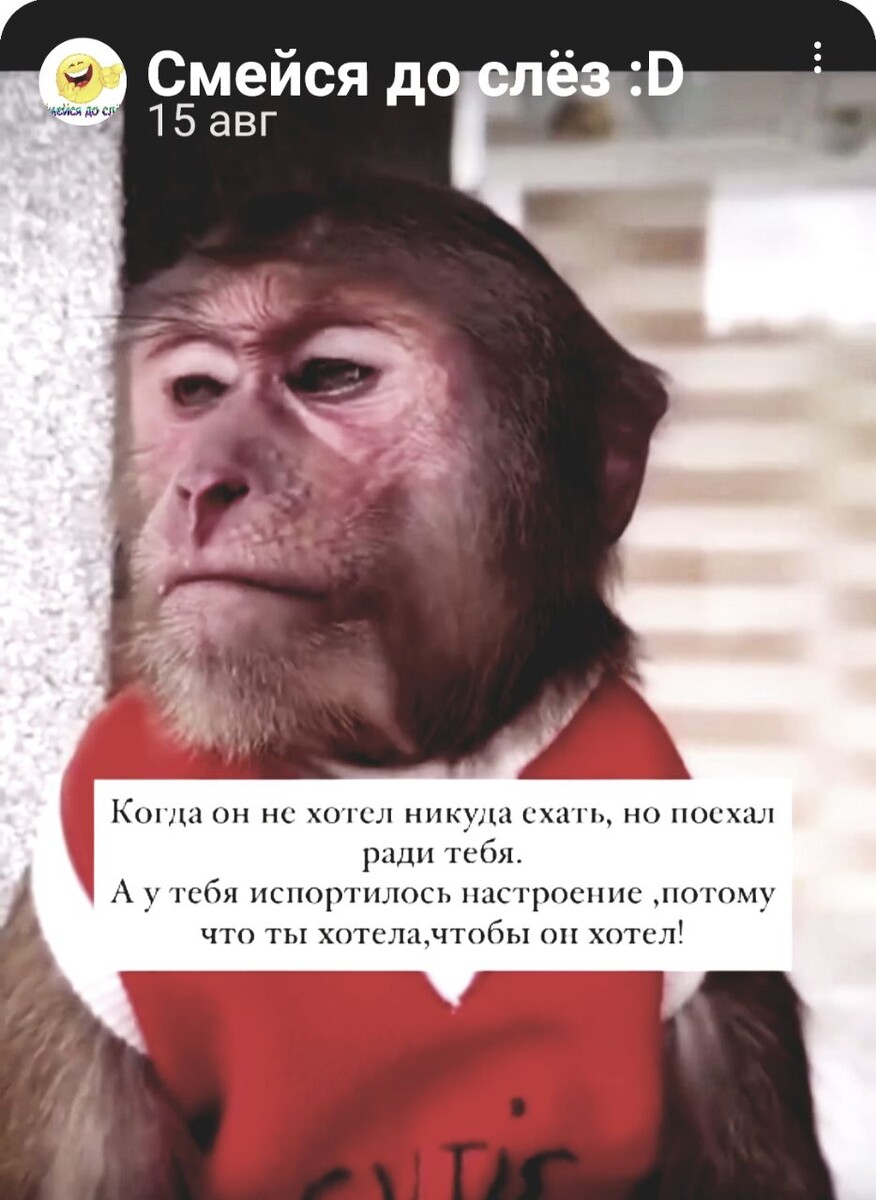 Интернет. Общий доступ)