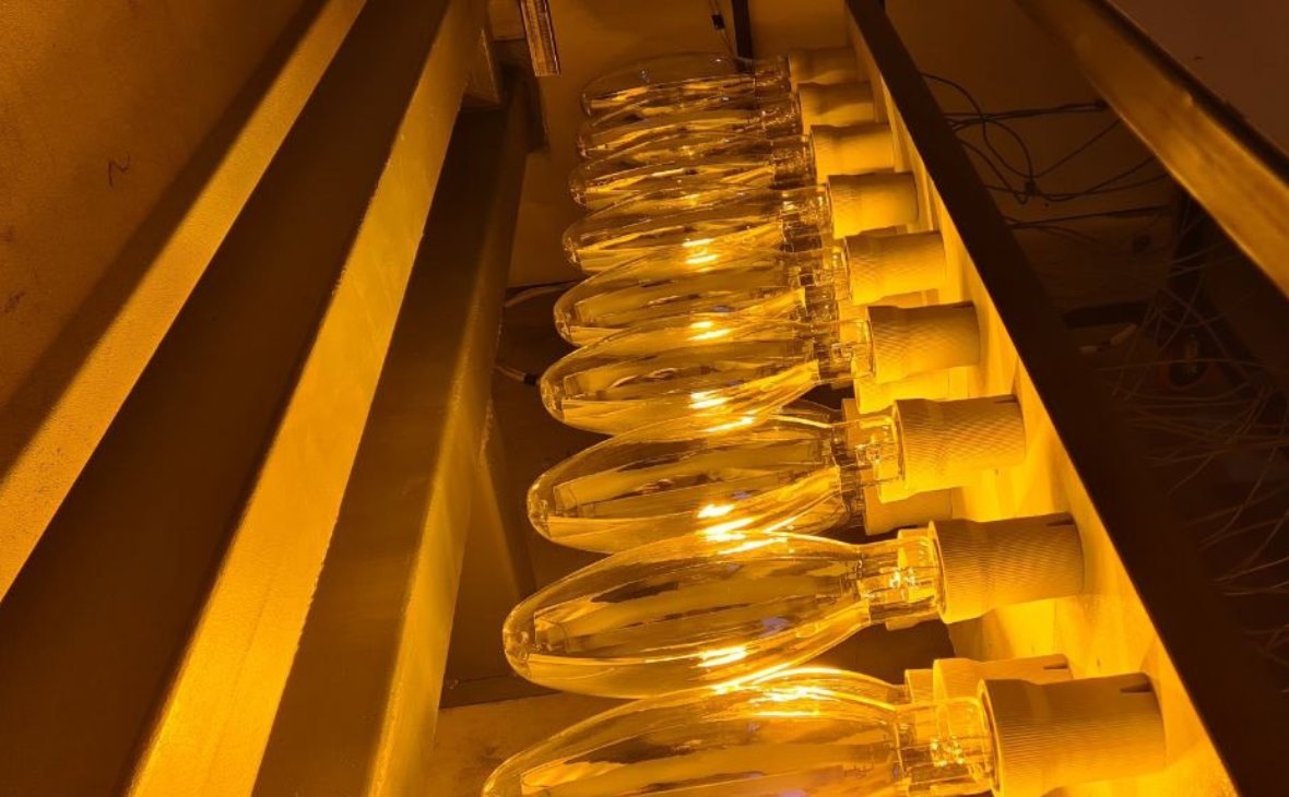 Фото: РБК Черноземье