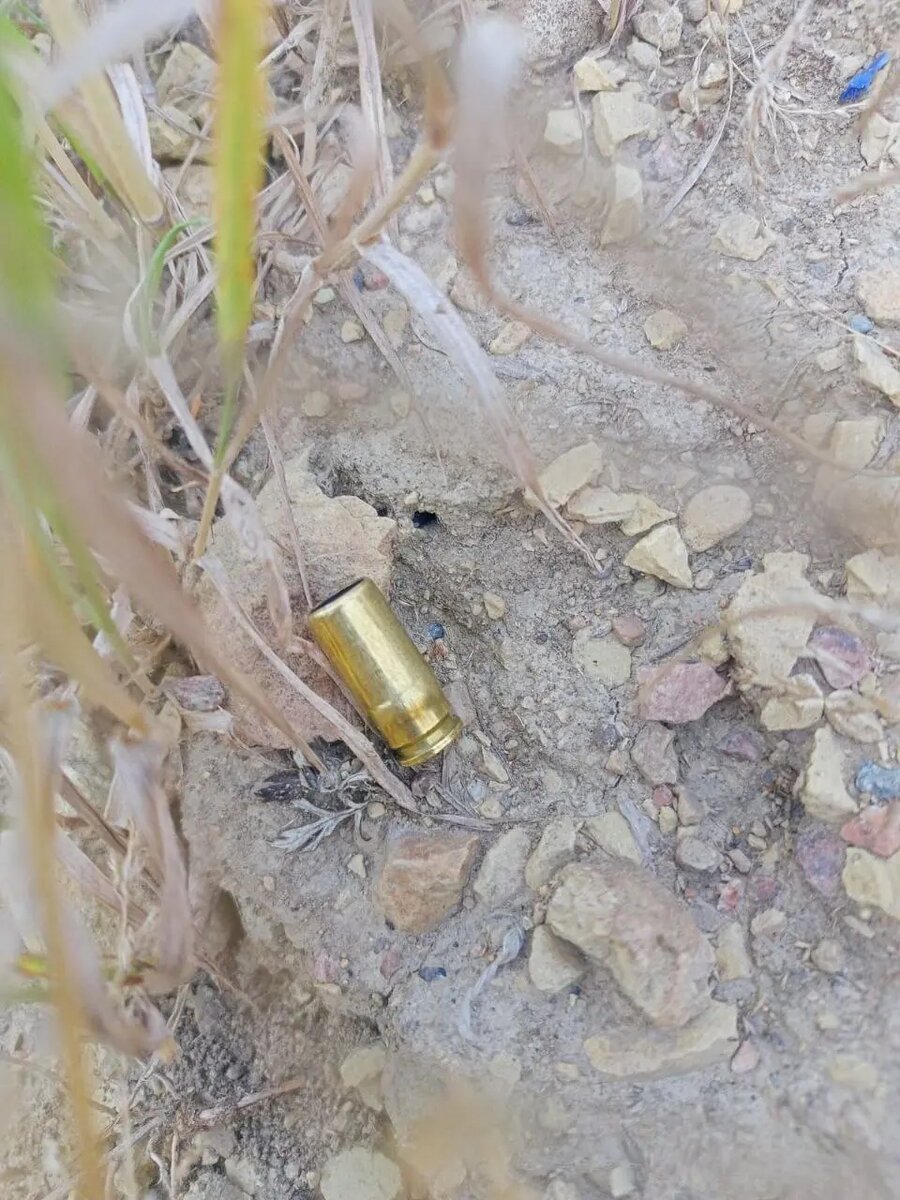    Фото: пресс-служба ГУ МВД по Петербургу и Ленобласти