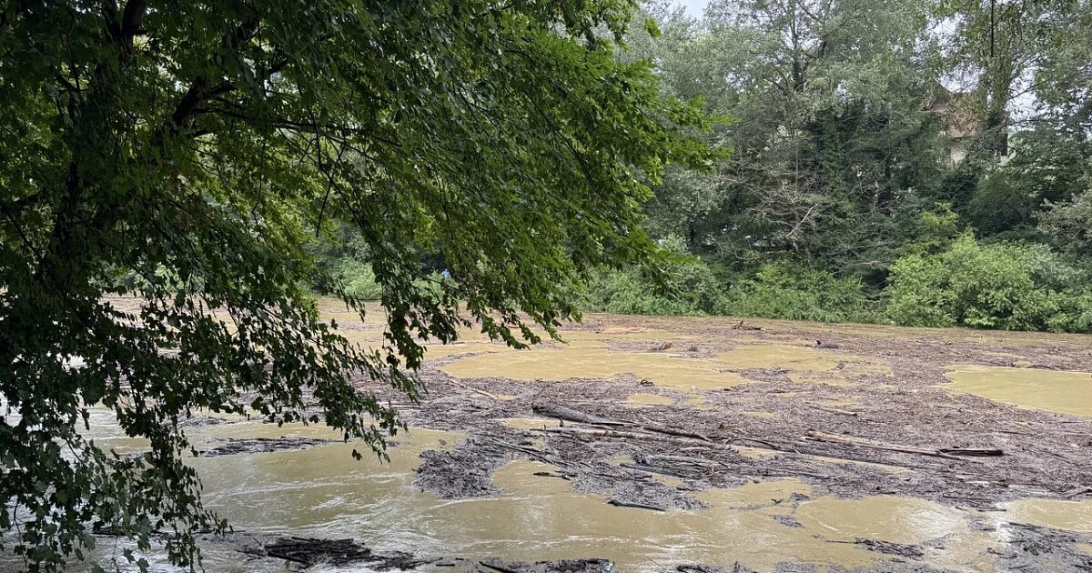 Фото: Утренний Юг