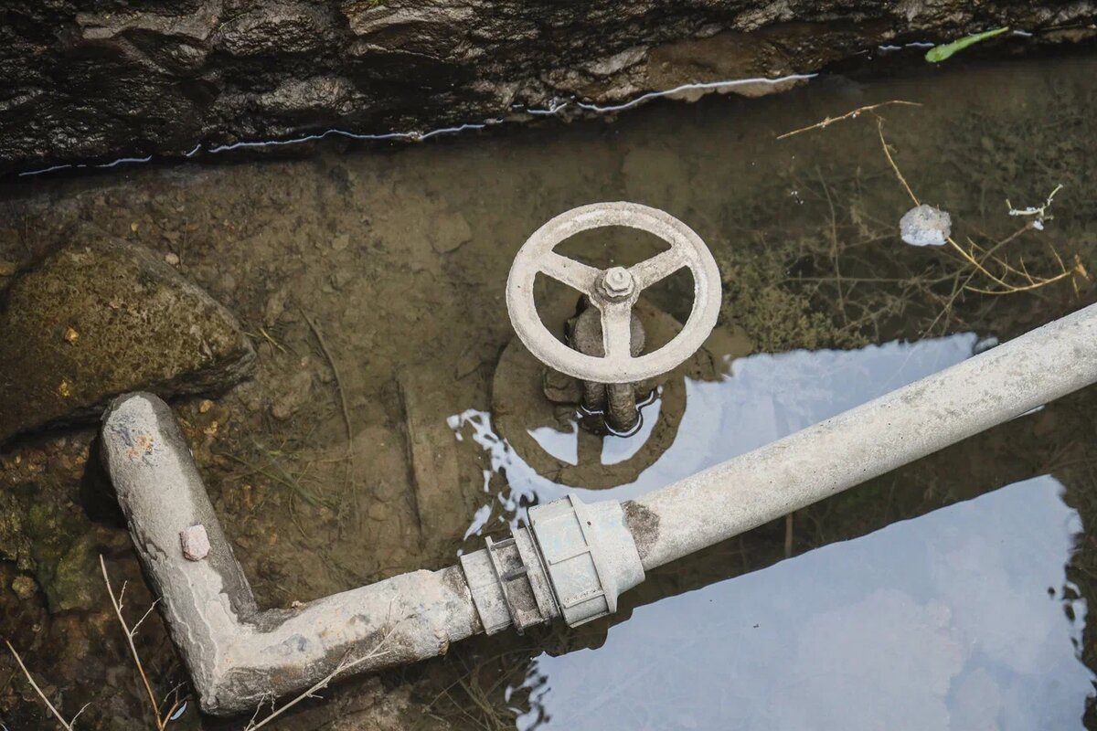    Фото: ТРК Таврия