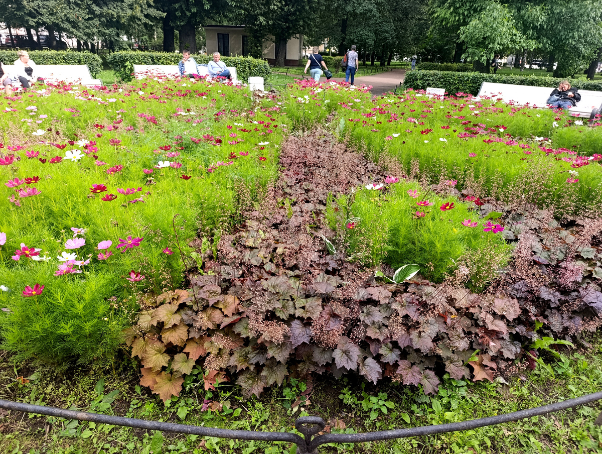 В сквере на проспекте Добролюбова. 