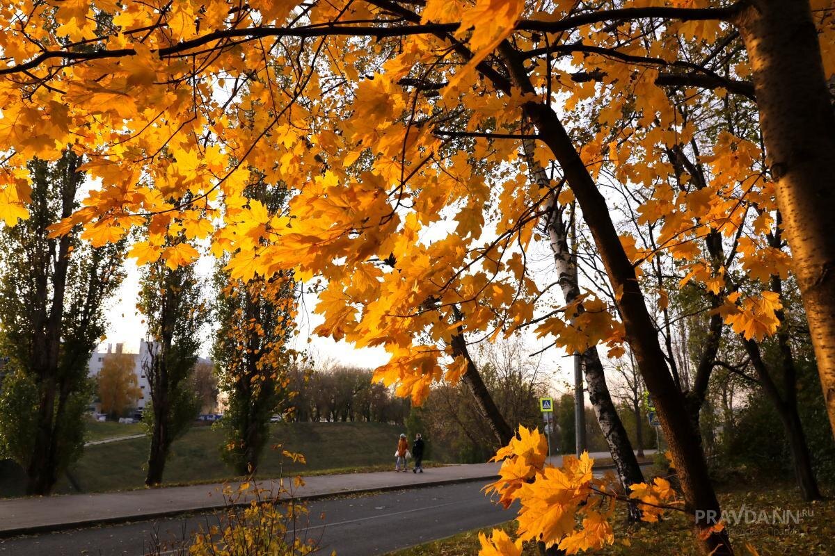    55% россиян признаются в легкой грусти или ностальгии с наступлением осени