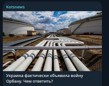    Скриншот: Telegram/Kotsnews
