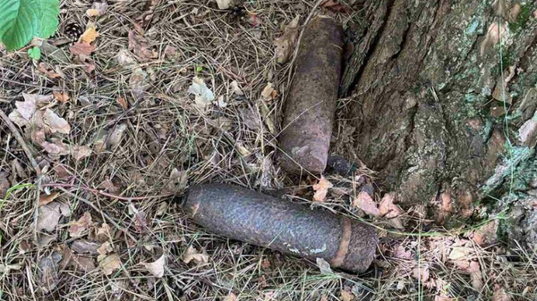    © Telegram / УВД Гродненского облисполкома