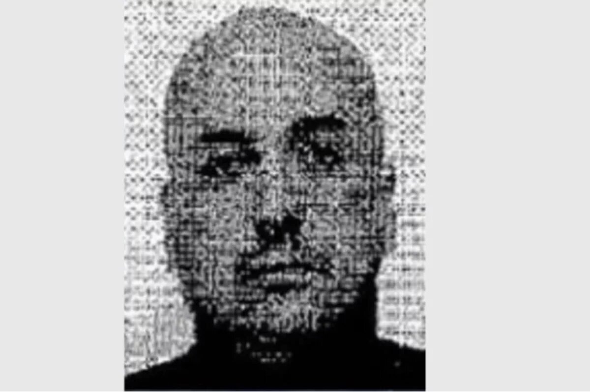    Появился фоторобот украинца, задержанного за подрыв «Северных потоков»