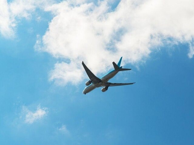    Фото: 123RF/olgavolodina