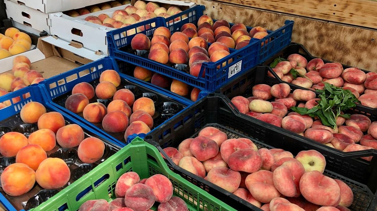     Фото: Пресс-служба администрации Краснодар