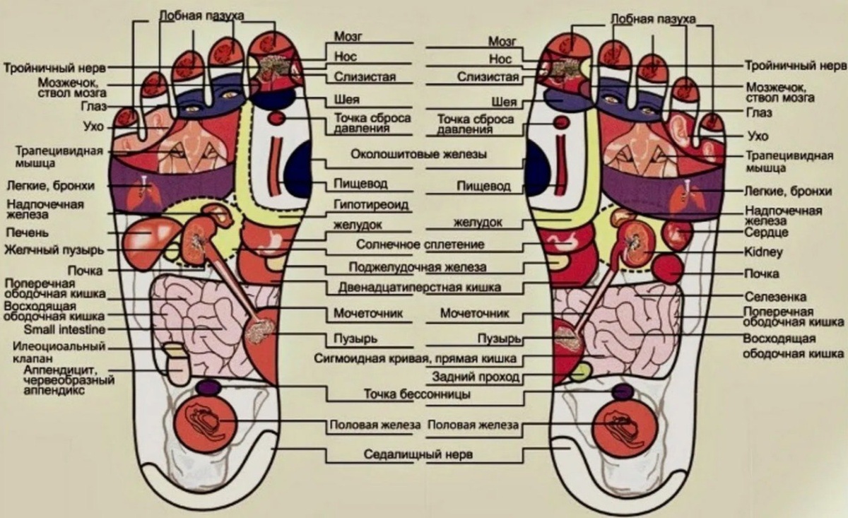 Иллюстрация взята из открытого интернет-источника