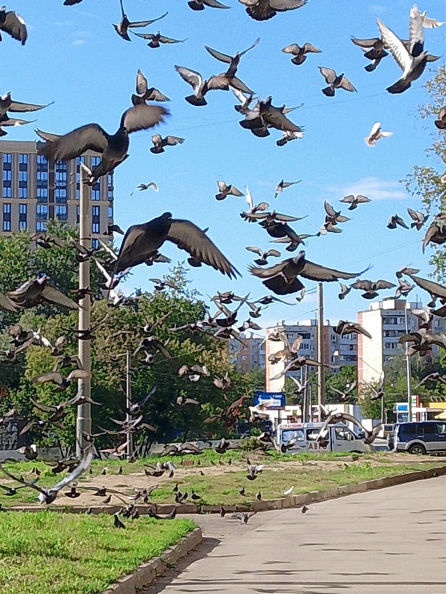 Фото автора. 