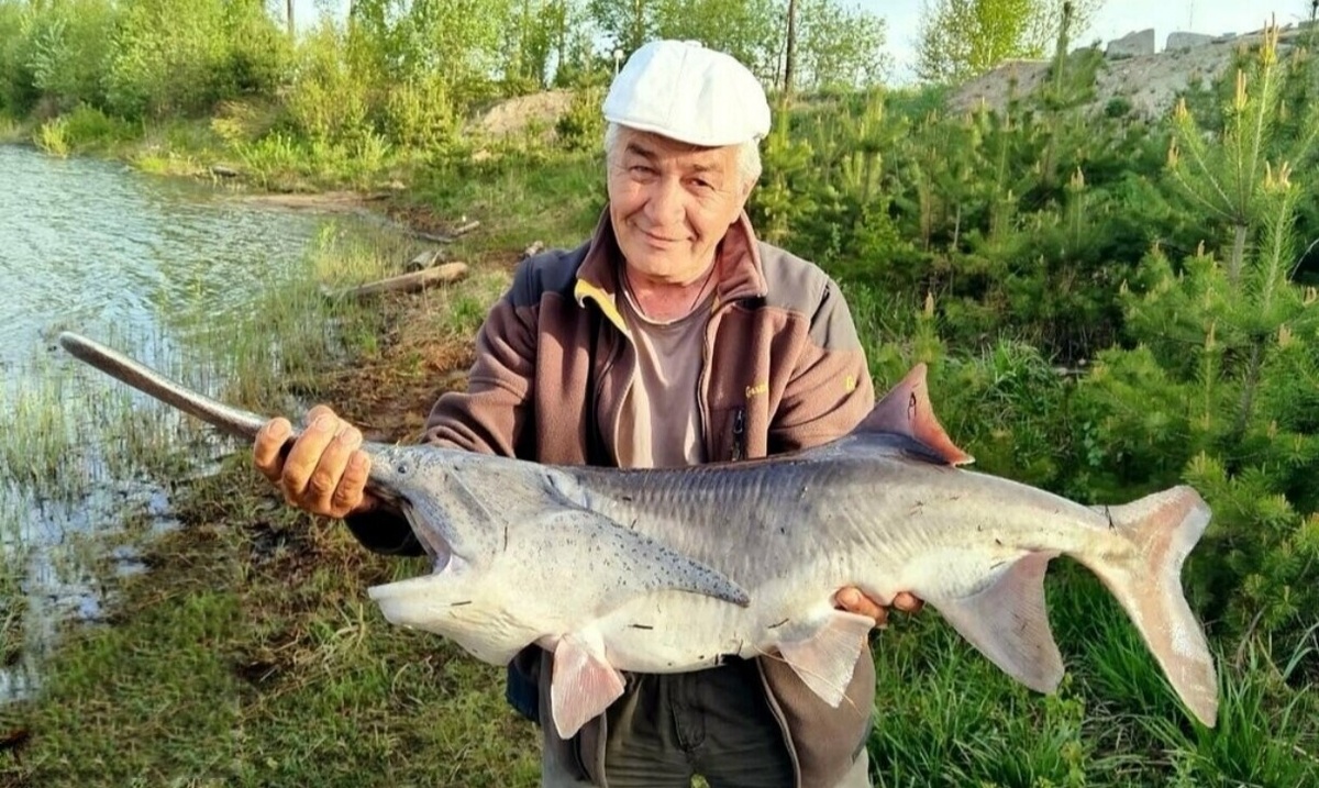 Яркий пример - Веслнос. Не ожидаешь встретить такой трофей на рыбалке в Ленинградской области