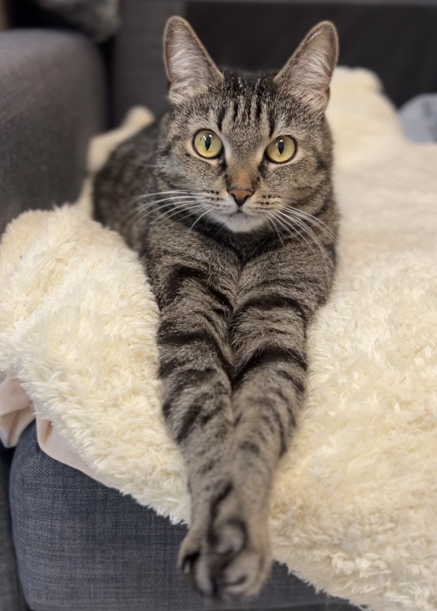 Всегда ваша Люси.