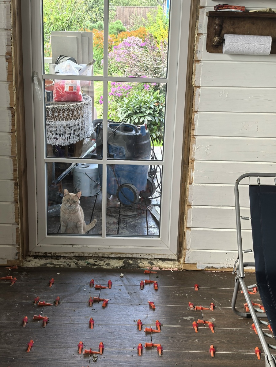 Максимка нагулялся и пришёл перекусить