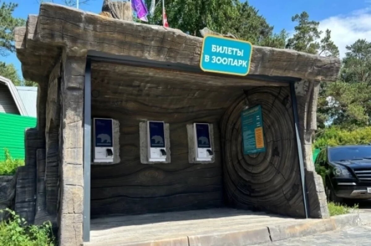    Редкого какаду из Новосибирского зоопарка перевезли в Москву