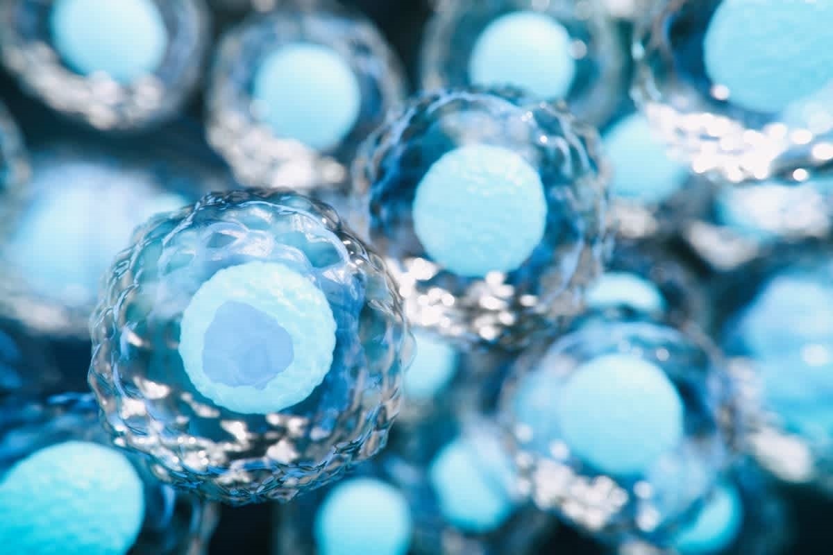 Руководители технологических компаний платят $50 000 за генетический скрининг эмбрионов на IQ