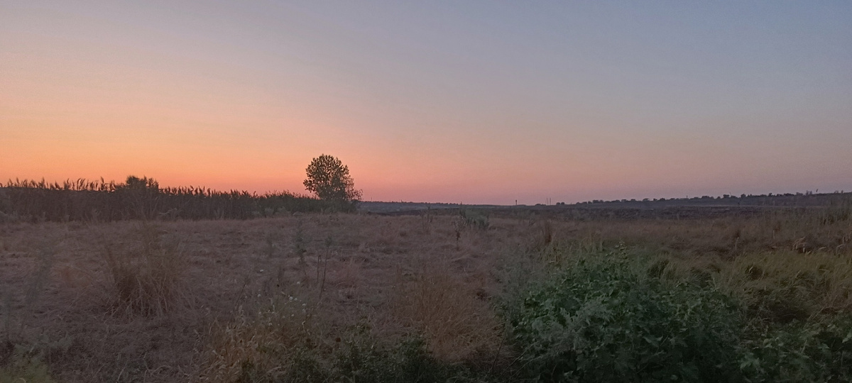 Закат в степи