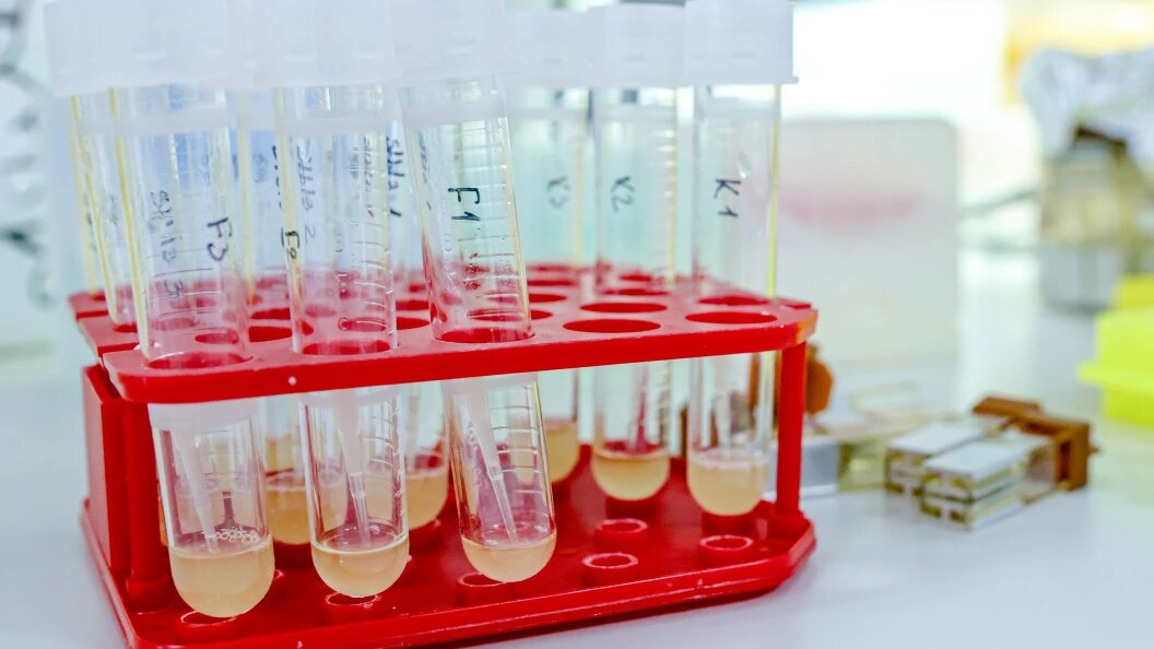    Фото: Roman Naumov/URA.RU/Globallookpress