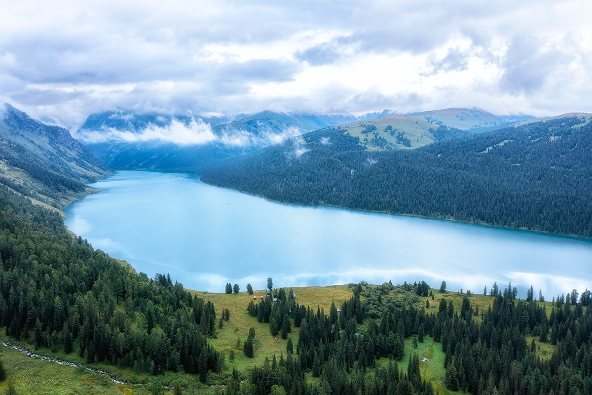 На фото виден кордон заповедника