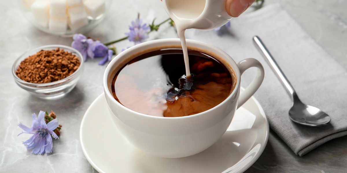 Цикорий по вкусу похож на кофе, но действует мягко и без кофеина