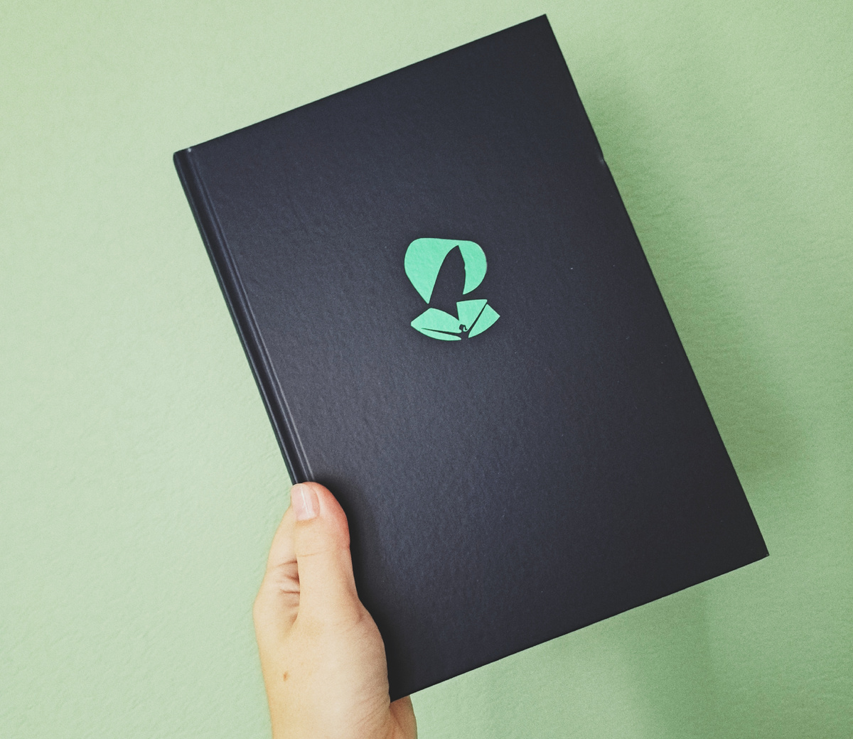 Книга без суперобложки [напомню, что она досталась мне за сущие копейки, - 240 рублей. Новая!]