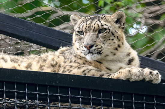 Фото: Михаил Метцель/ТАСС