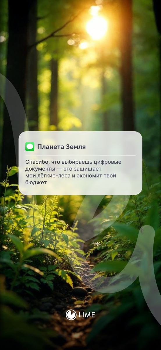 обои на телефон_лес