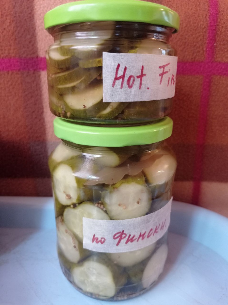 Огурчики бочонками, или шайбами.