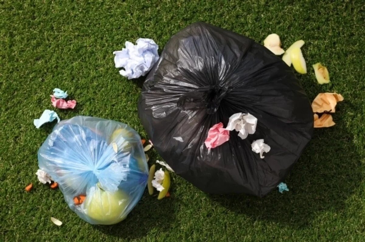    Ульяновцы пожаловались мэру на соседку, таскающую домой мусор