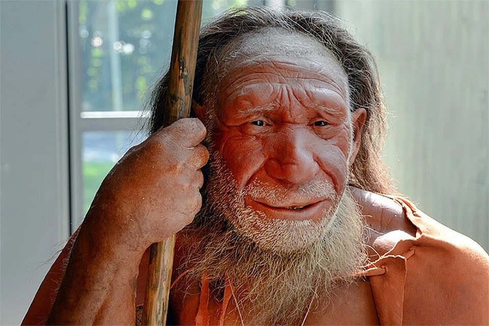 Раскопки доказали, что Homo Erectus вымер из-за нежелания совершенствовать орудия труда. Фото: GLOBAL LOOK PRESS.