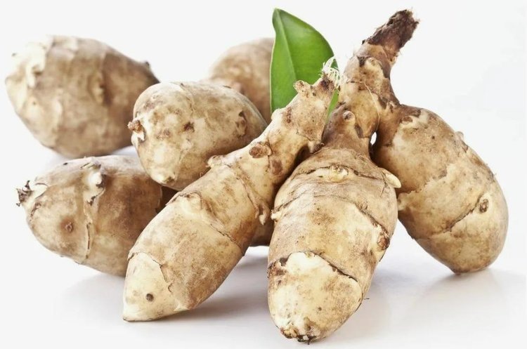    Фото: Федеральный центр охраны здоровья животных