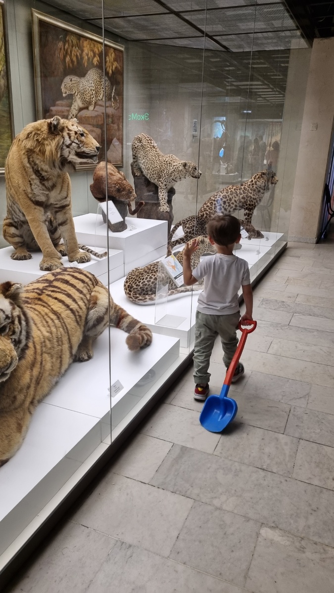 В музей нам очень нужна была лопата для снега, ну прямо очень!