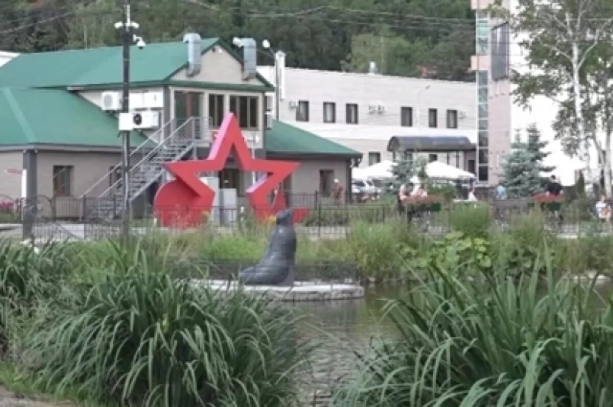    В парке Гагарина в Южно-Сахалинске сохранят все деревья